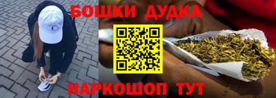 ECSTASY Новозыбков