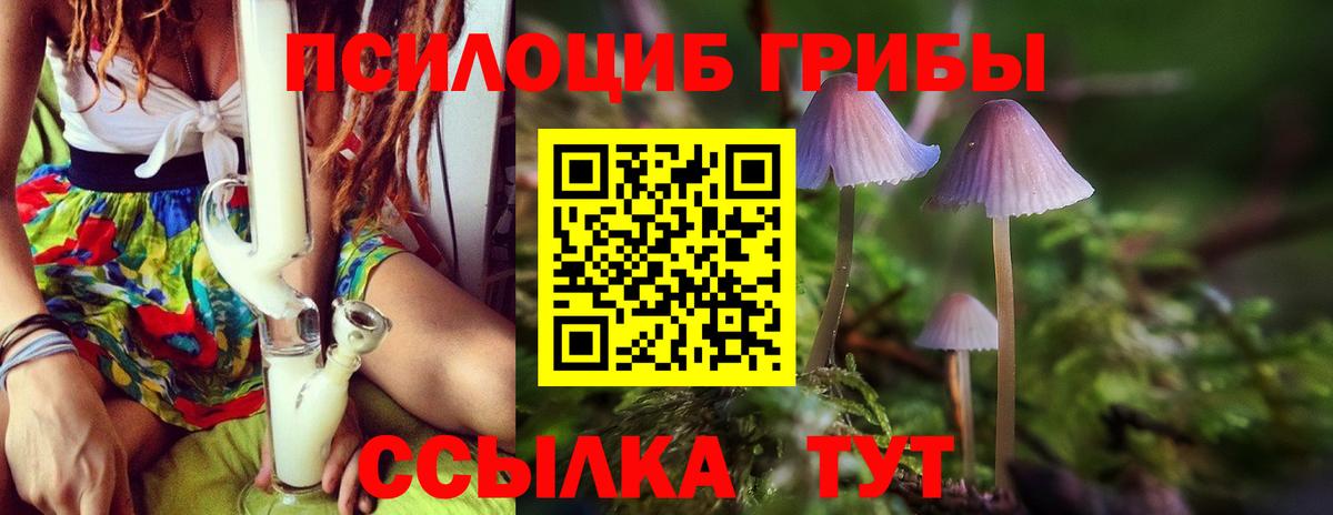 Семёнов  Псилоцибиновые грибы Psilocybine cubensis  Вход с VPN  Псилоцибиновые грибы Cubensis 
